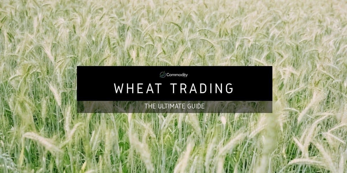 Wheat Learn How To Trade It at