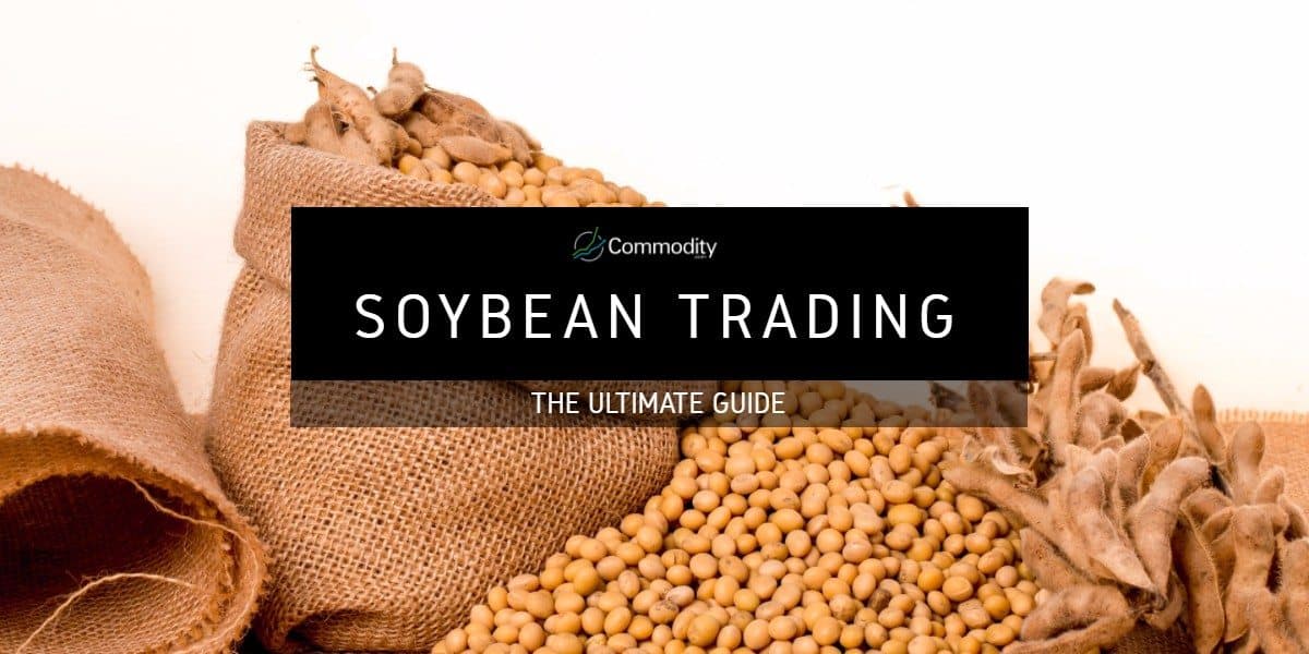 Soybean: Learn How To Trade It at Commodity.com