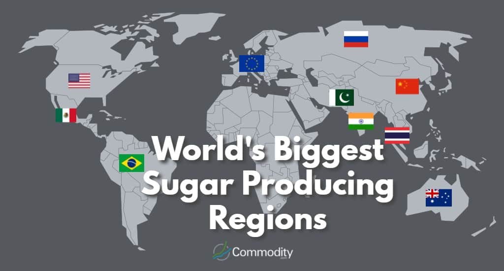 Sugar new world где найти