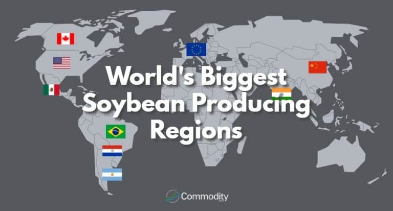 soybeans-the-commodity-guide-commodity