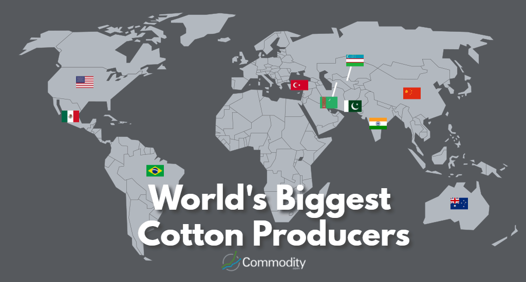 Cotton Essential Guide To This Staple Commodity Commodity