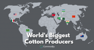 export cotton fabric