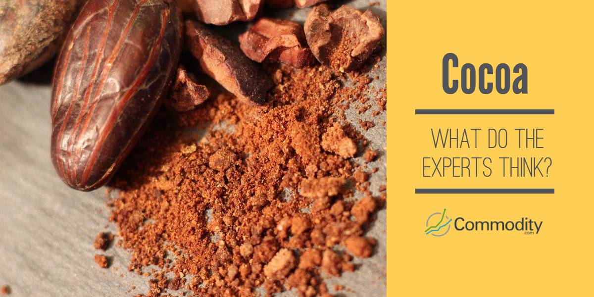 Cocoa Trade 2021 Experts Are Pessimistic In The Short Term. Learn What