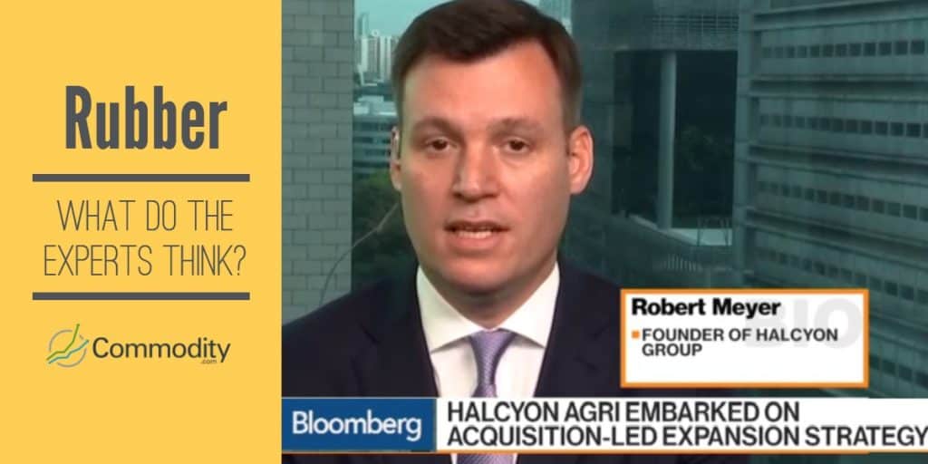 Robert Meyer Director General de Halcyon, experto en caucho