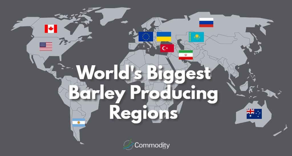 Barley As a Commodity Why It’s A Vital Grain
