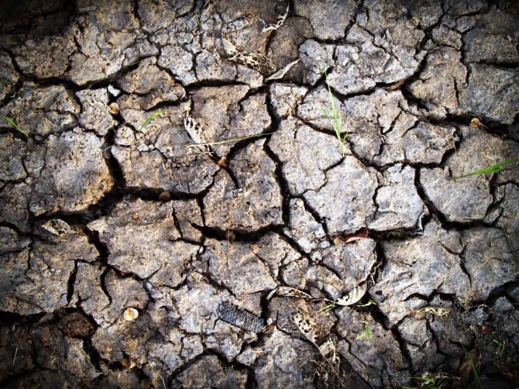 Land cracked by drought