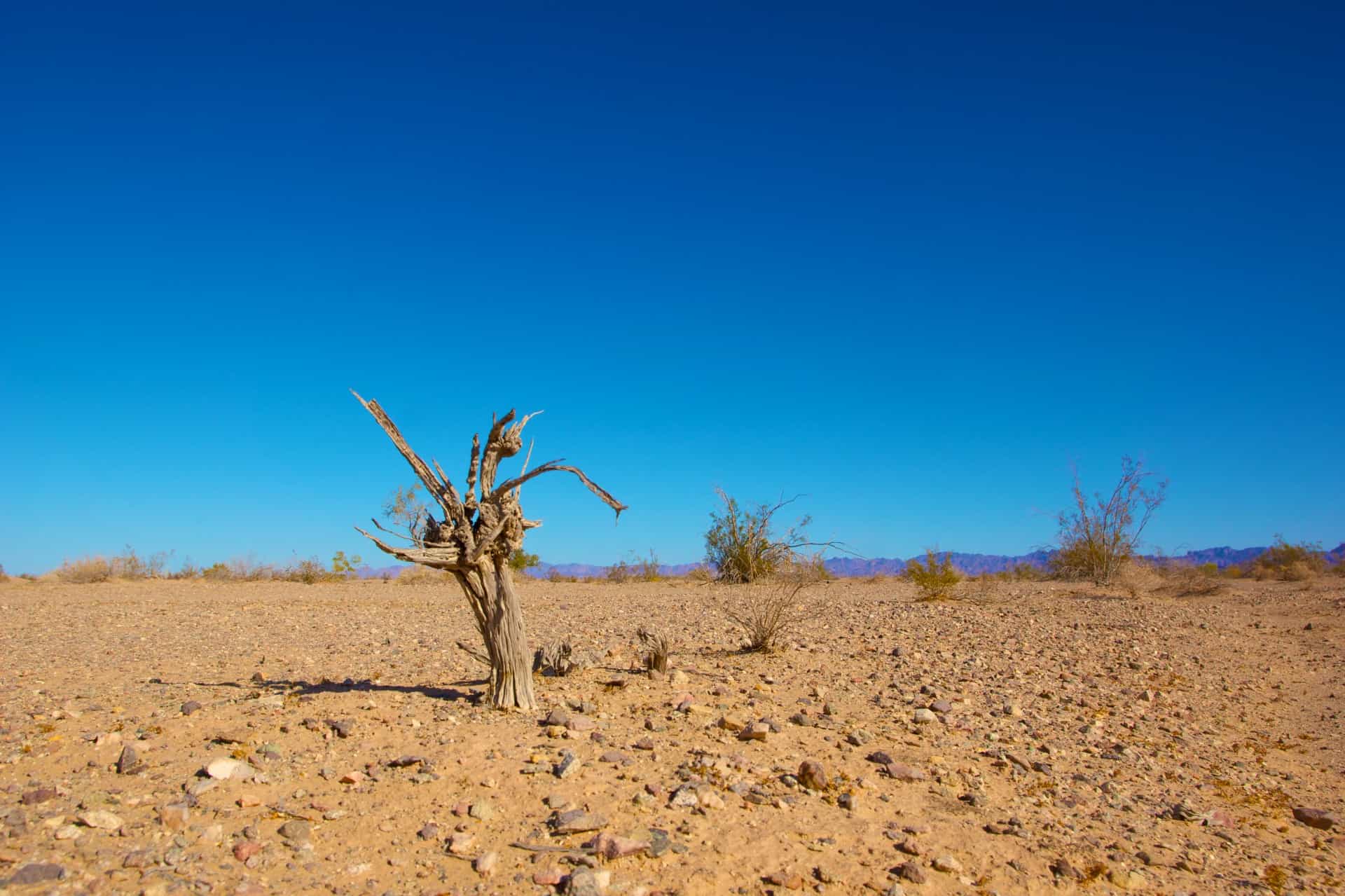 Effects of Climate Change via Publicdomainpictures