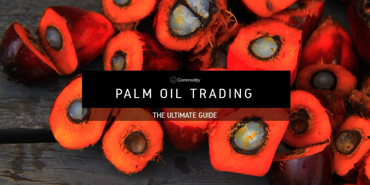 Palm Oil Learn How To Trade It at