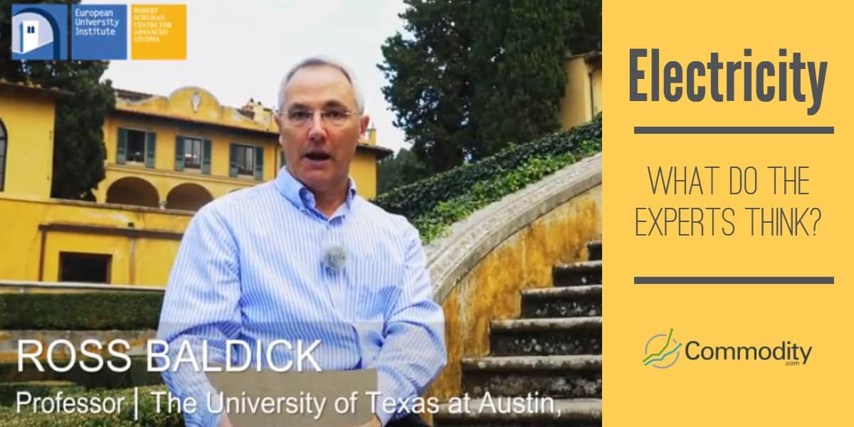 Ross Baldick Profesor de la Universidad de Texas en Austin