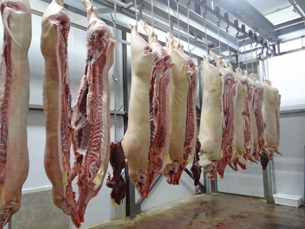 Pork Slaughterhouse