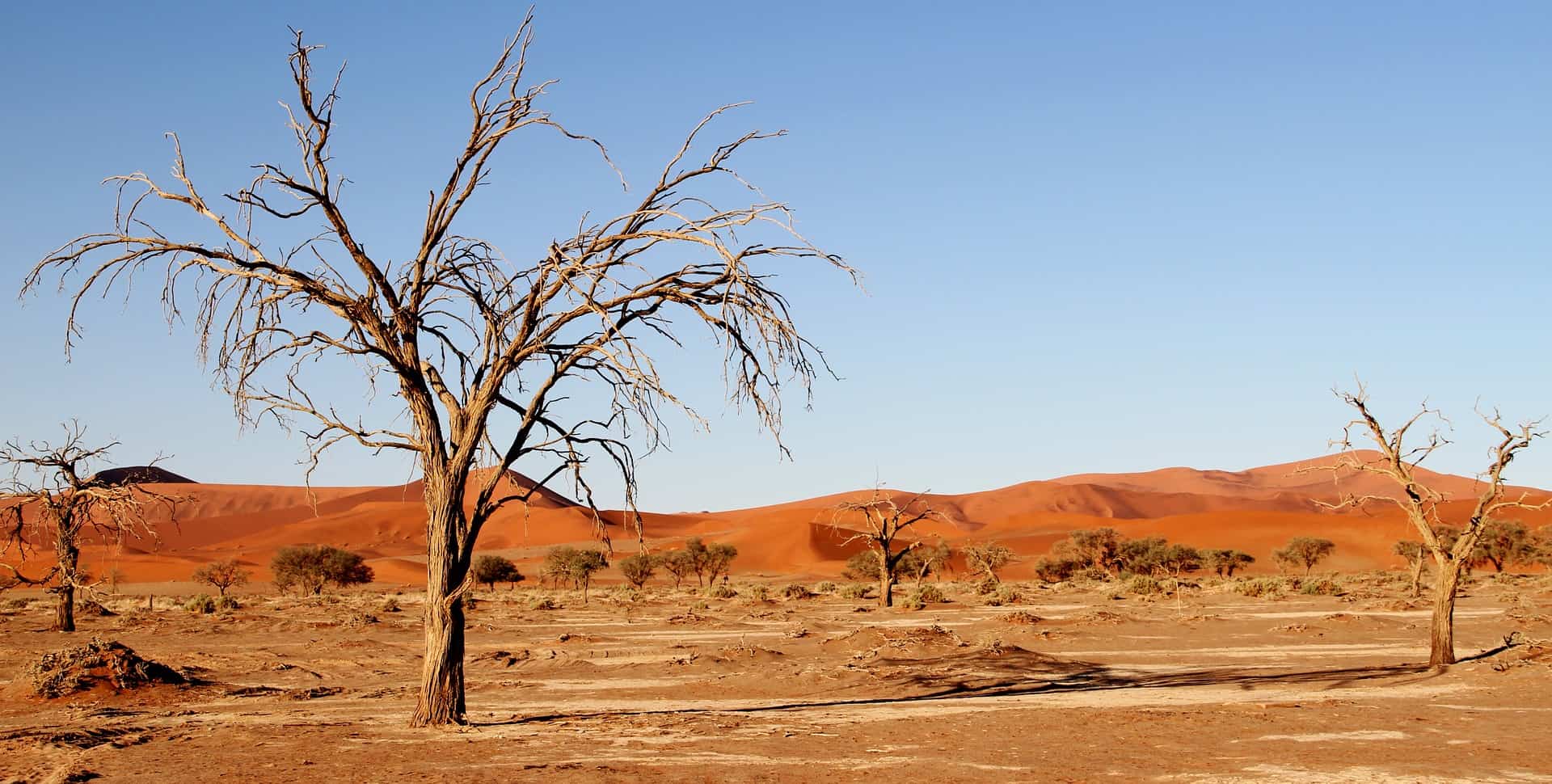 climate change drought