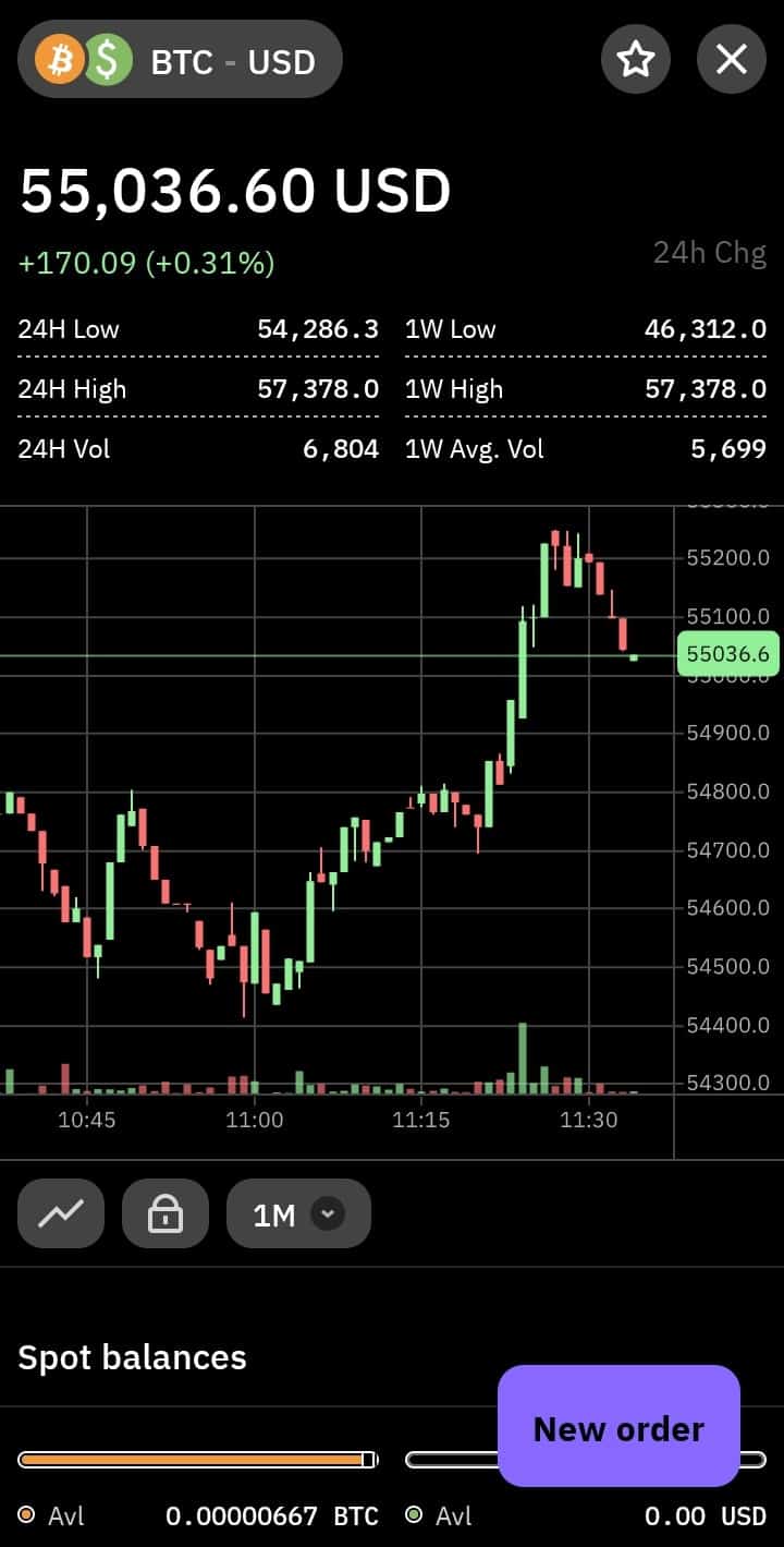 kraken btc usd bitcoin trading ic rinkos