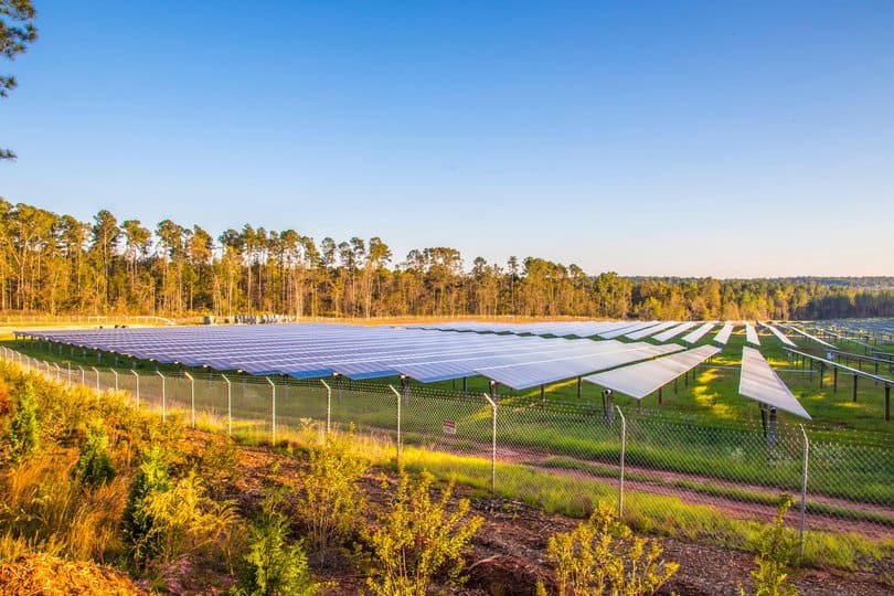 Appling, GA: Field of rows of solar panels