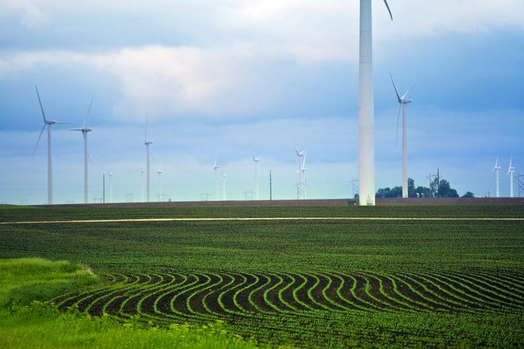 Minnesota Farmlands. Corn Lands and Wind Turbines. Agricultural Theme.