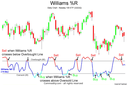 Williams R buy and sell signal